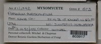Image Associated With the Occurence